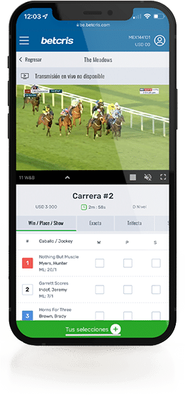 Pantalla de teléfono mostrando opciones de apuestas de carreras de caballos.